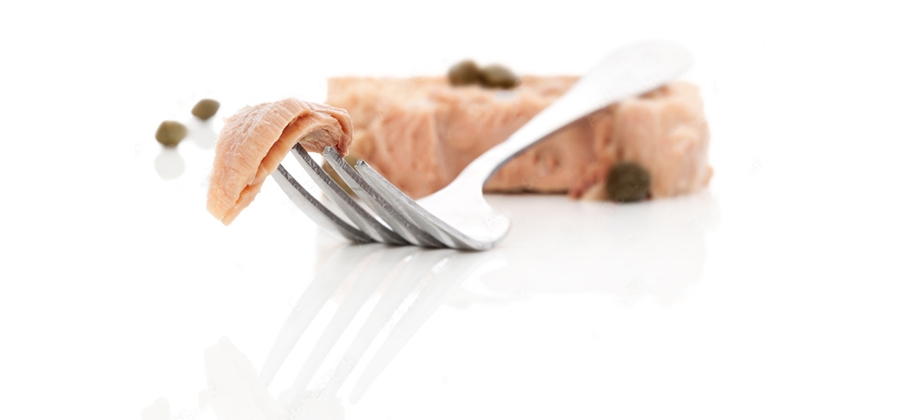 کنسرو ماهی ، ناگهان چه شد؟